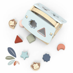 Speedy Monkey - Maison des formes - 8 blocs -